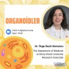 organoidler.jpeg